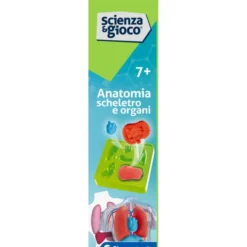 Anatomia Scheletro e Organi