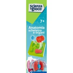Anatomia Scheletro e Organi