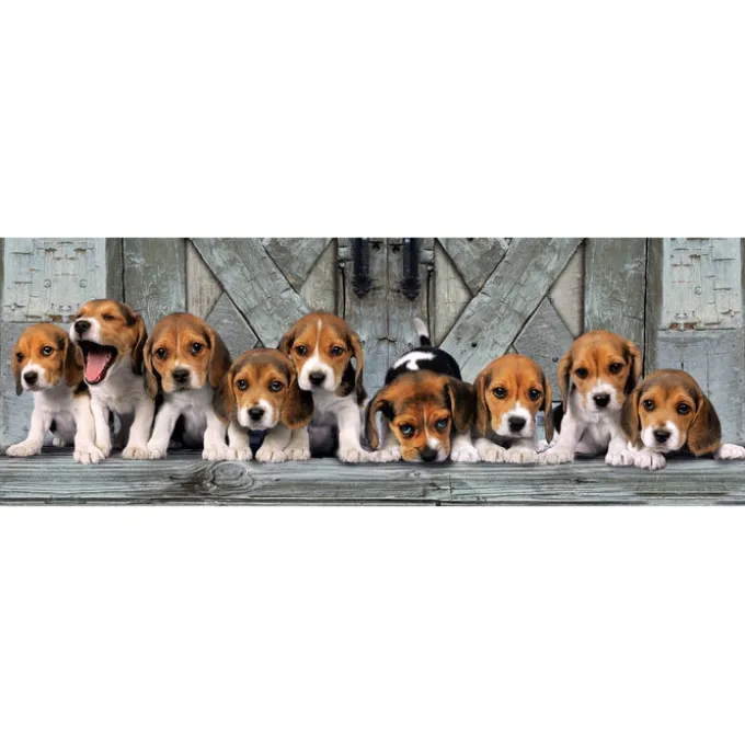 Beagles - 1000 pezzi