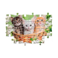 Brothers in Fur - 60 pezzi