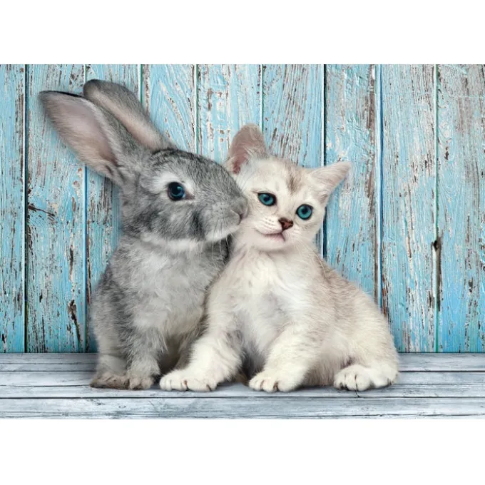 Cat & Bunny - 500 pezzi