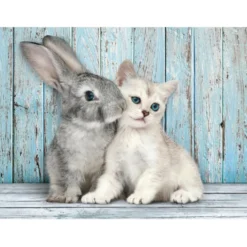 Cat & Bunny - 500 pezzi