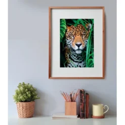 Jaguar in the Jungle - 500 pezzi