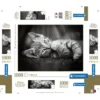 Kitty - 1000 pezzi