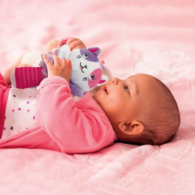 Lovely Soft Cat Rattle