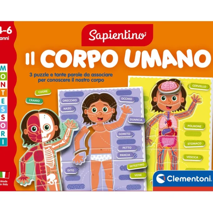 Montessori - Il Corpo Umano