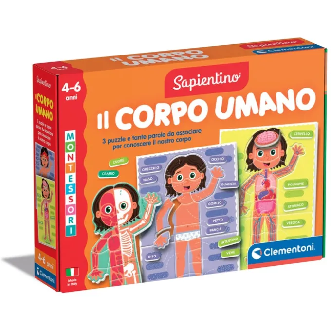 Montessori - Il Corpo Umano