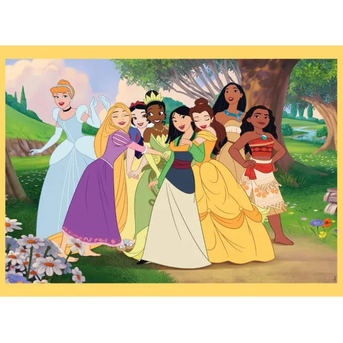 Princess - 1x12 + 1x16 + 1x20 + 1x24 pezzi
