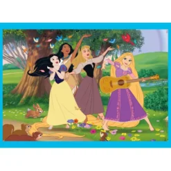 Princess - 1x12 + 1x16 + 1x20 + 1x24 pezzi
