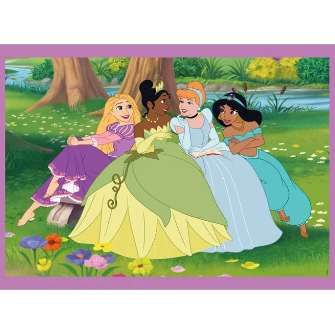 Princess - 1x12 + 1x16 + 1x20 + 1x24 pezzi