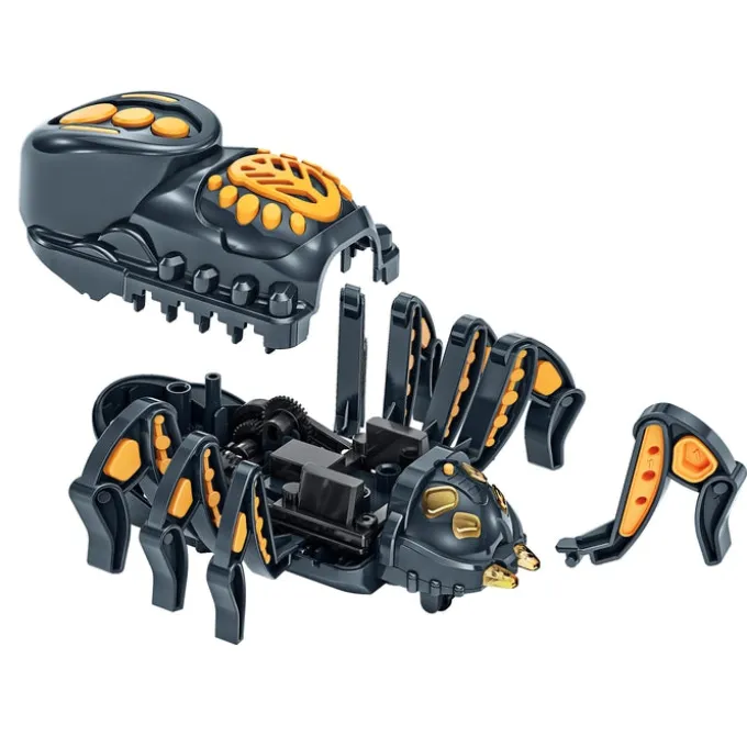 Spider Robot