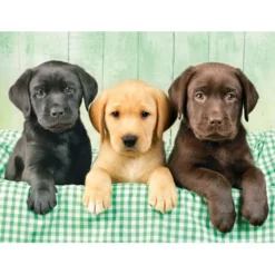 Three Labs - 1000 pezzi