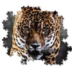 Walk of the Jaguar - 1000 pezzi