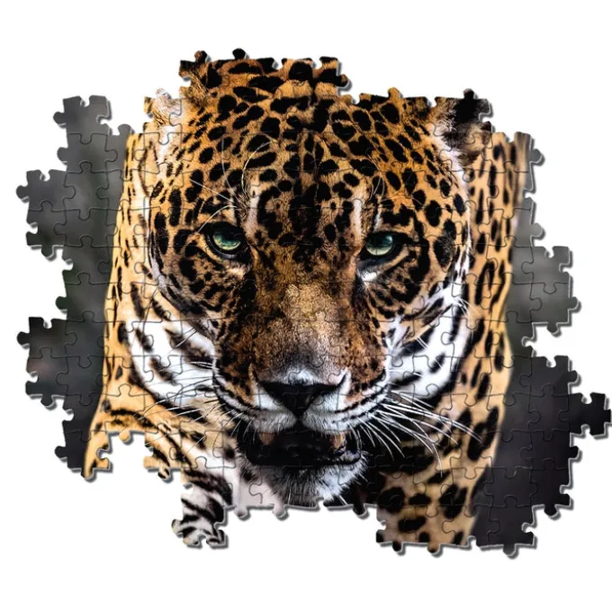 Walk of the Jaguar - 1000 pezzi
