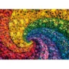 Whirl - 1000 pezzi